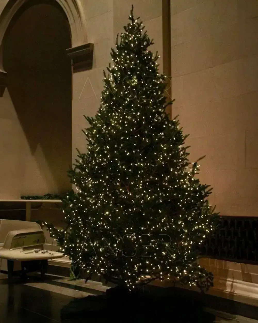 Світлодіодна гірлянда Роса 200 метрів, діоди теплого білого кольору на зеленому дроті, 2000 LED, з пультом керування - Зображення 3