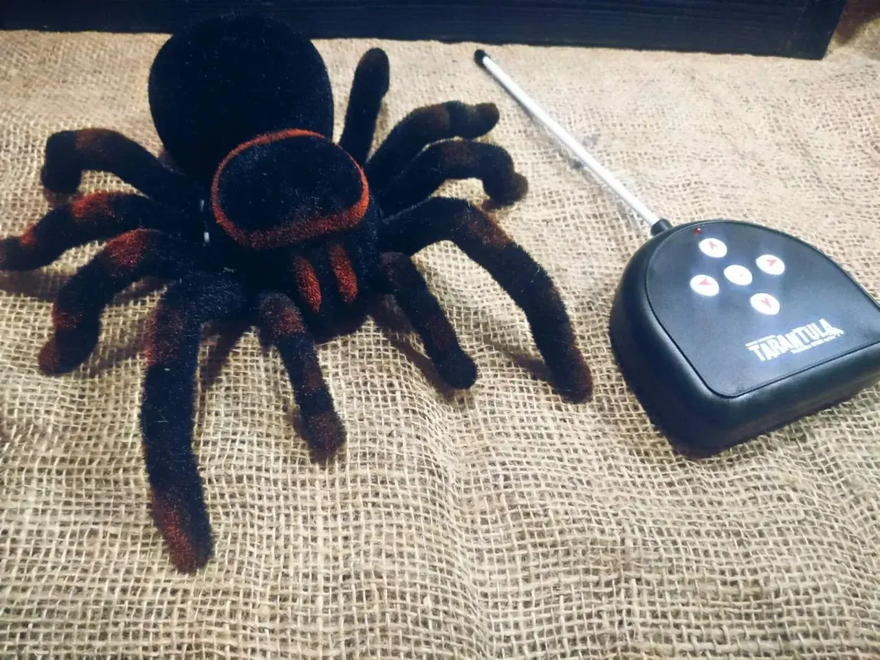 Павук Тарантул на радіоуправлінні з очима 30 см Cute Sunlight 871 Tarantula - Зображення 8