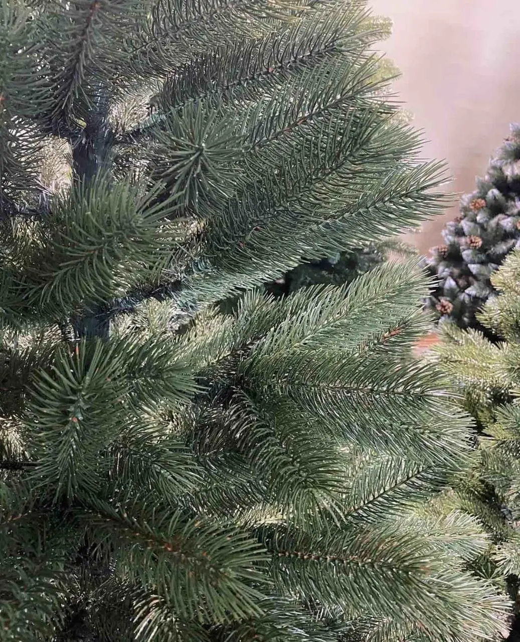 Ялинка штучна Лита "Буковельська" зелена - Зображення 4
