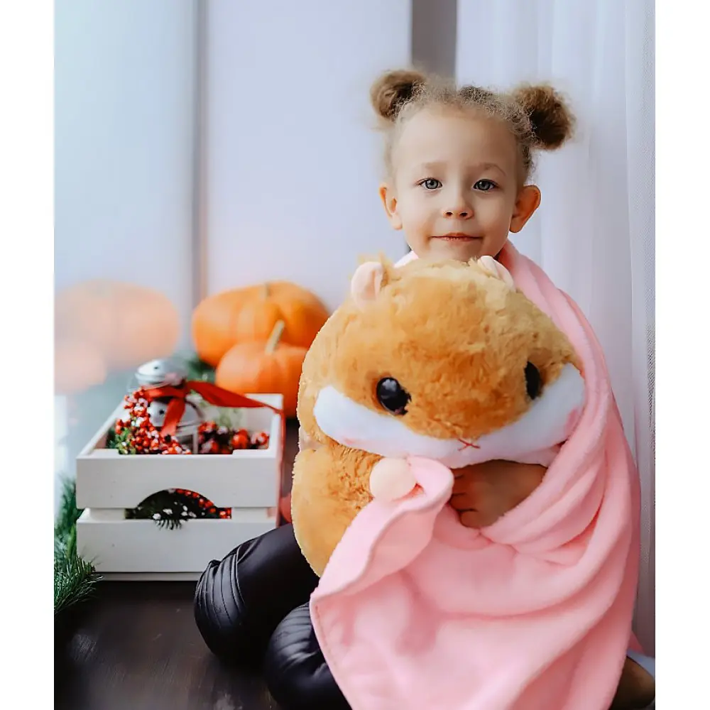 Плед-хом'як 3 в 1, Плед, Іграшка, Подушка - Зображення 3