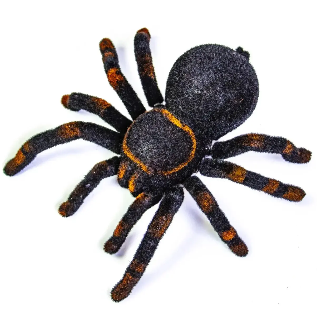 Павук Тарантул на радіоуправлінні з очима 30 см Cute Sunlight 871 Tarantula - Зображення 4
