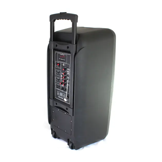 Портативна колонка Su-Kam 1010 + 2 мікрофони + BT 12v220v - Зображення 4