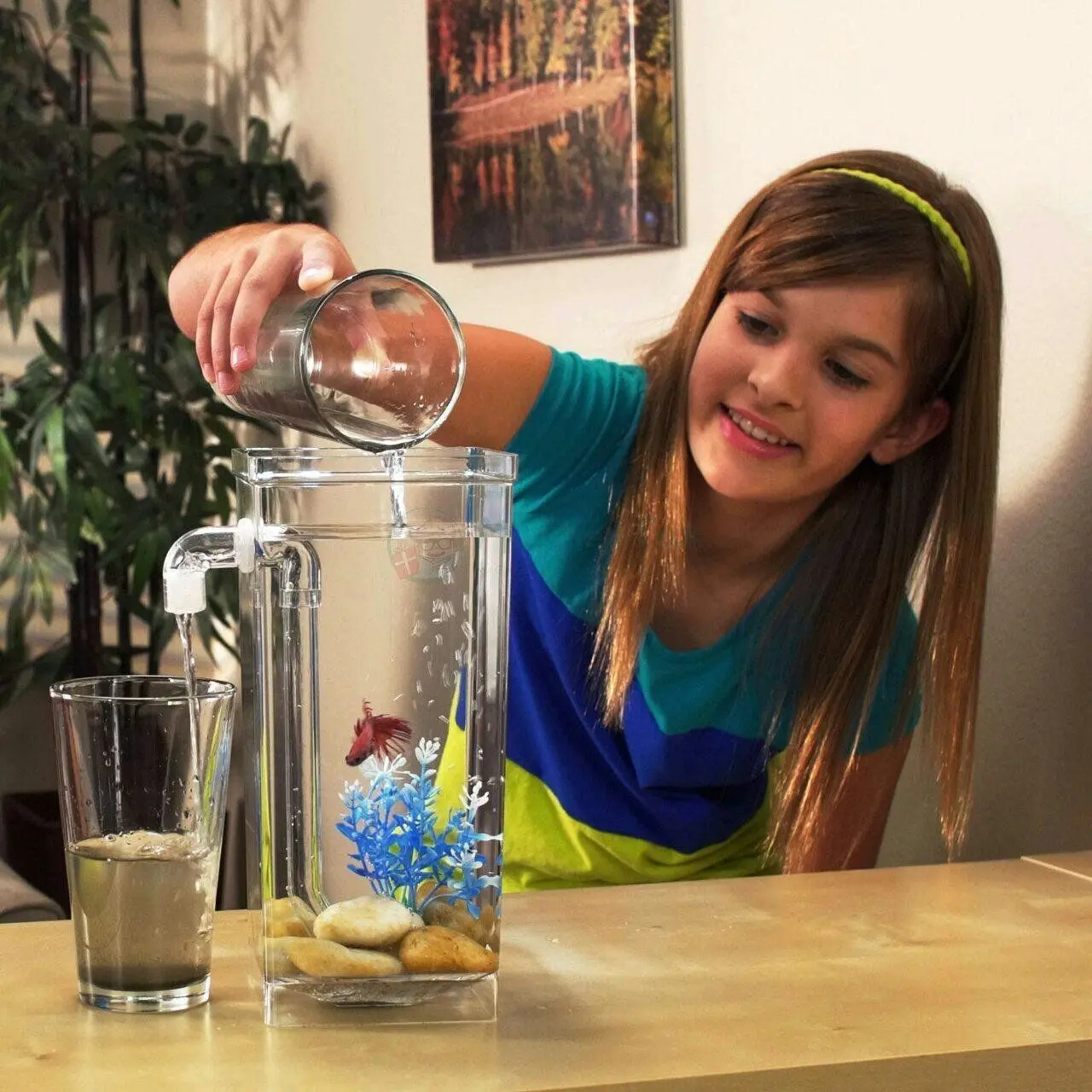 Акваріум самоочищається My Fun Fish - Зображення 5