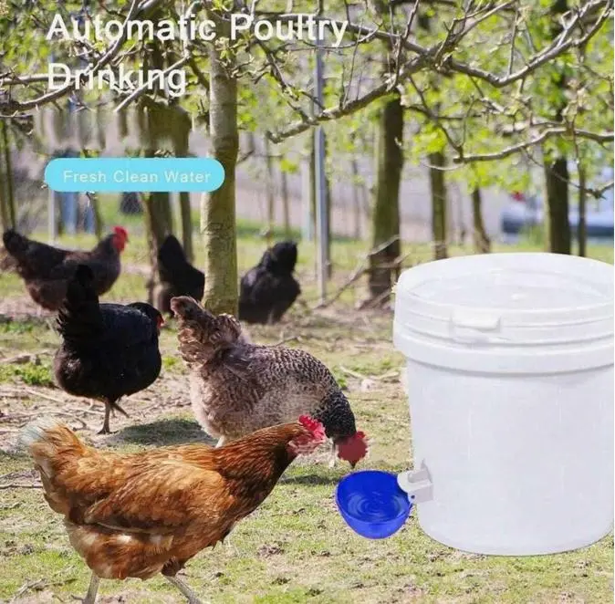 Автоматичний крапельний поїльник для курей 5 шт - Зображення 4