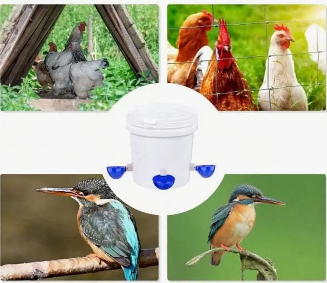 Автоматичний крапельний поїльник для курей 5 шт - Зображення 3
