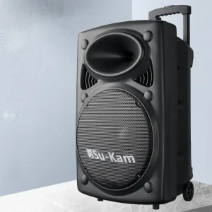 Портативна колонка Su-Kam BT 150D + 2 мікрофони 12v220v