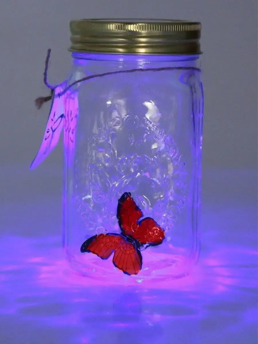 Декоративний нічник Метелик у банку / Інтерактивний метелик, що пархає, в банці з підсвічуванням Butterfly - Зображення 2