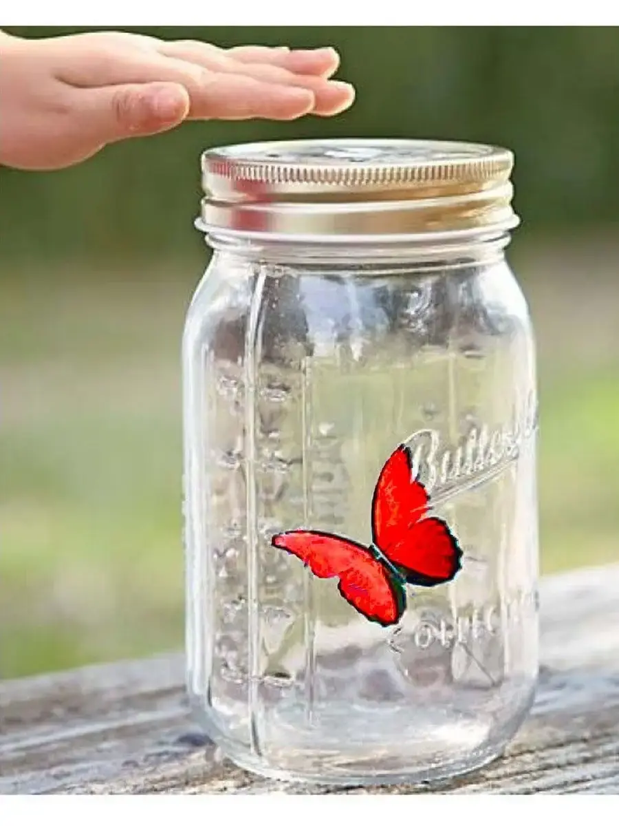 Декоративний нічник Метелик у банку / Інтерактивний метелик, що пархає, в банці з підсвічуванням Butterfly - Зображення 3