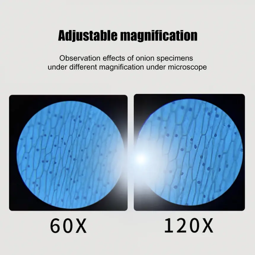 Дитячий портативний мікроскоп із підсвічуванням LED - Зображення 6