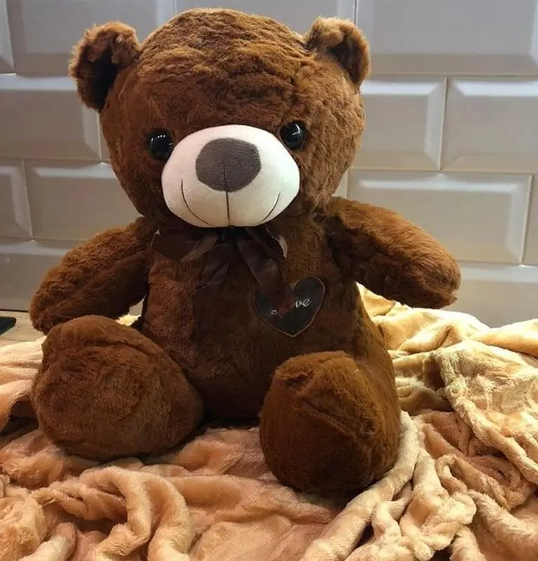Якісна плюшева іграшка Бурий ведмідь Коричневий, Ведмідь з ковдрою - Зображення 4