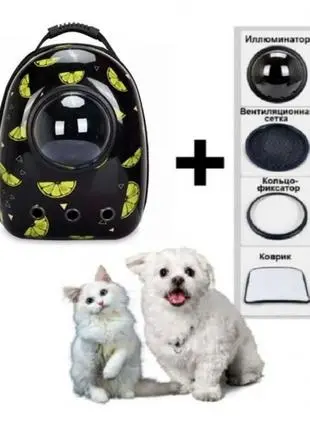 Космічний рюкзак для перенесення свійських тварин CosmoPet з ілюмінатором - Зображення 5