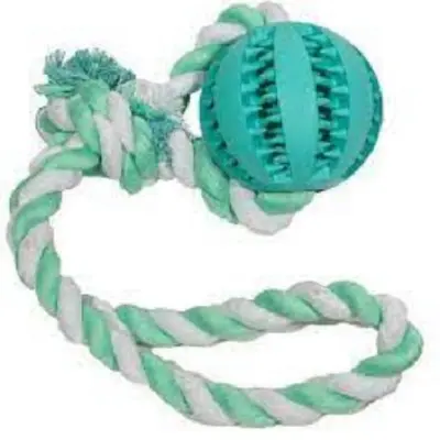 М'яч на мотузці з ручкою Denta Fun (24 см) - Зображення 3