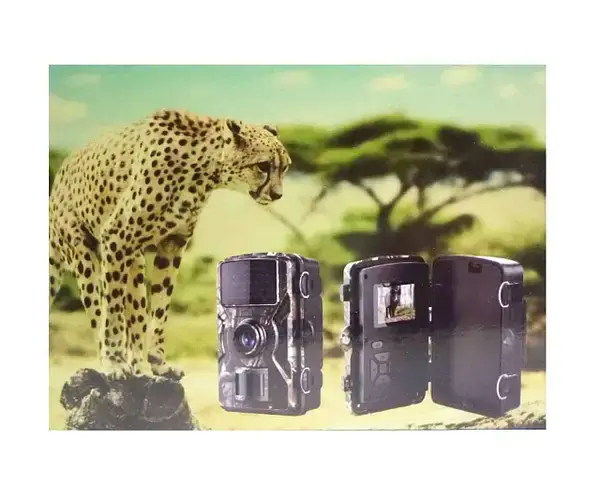 Міні відеореєстратор для полювання на батарейках, IP66, DL-001 / Мисливська відеокамера / Фотопастка для полювання - Зображення 2