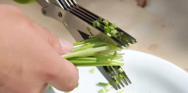 Ножиці для зелені Benson BN-919 (5 гострих лез) кухонні ножиці Бенсон + щітка для чищення, Бенсон - Зображення 8