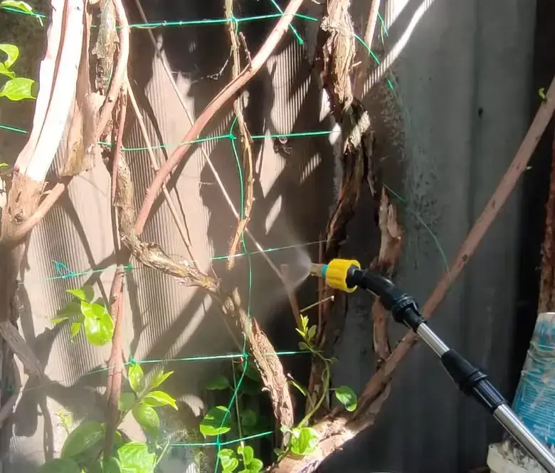 Портативний акумуляторний обприскувач для рослин / садовий обприскувач зі шлангом AND LY-1014 - Зображення 3