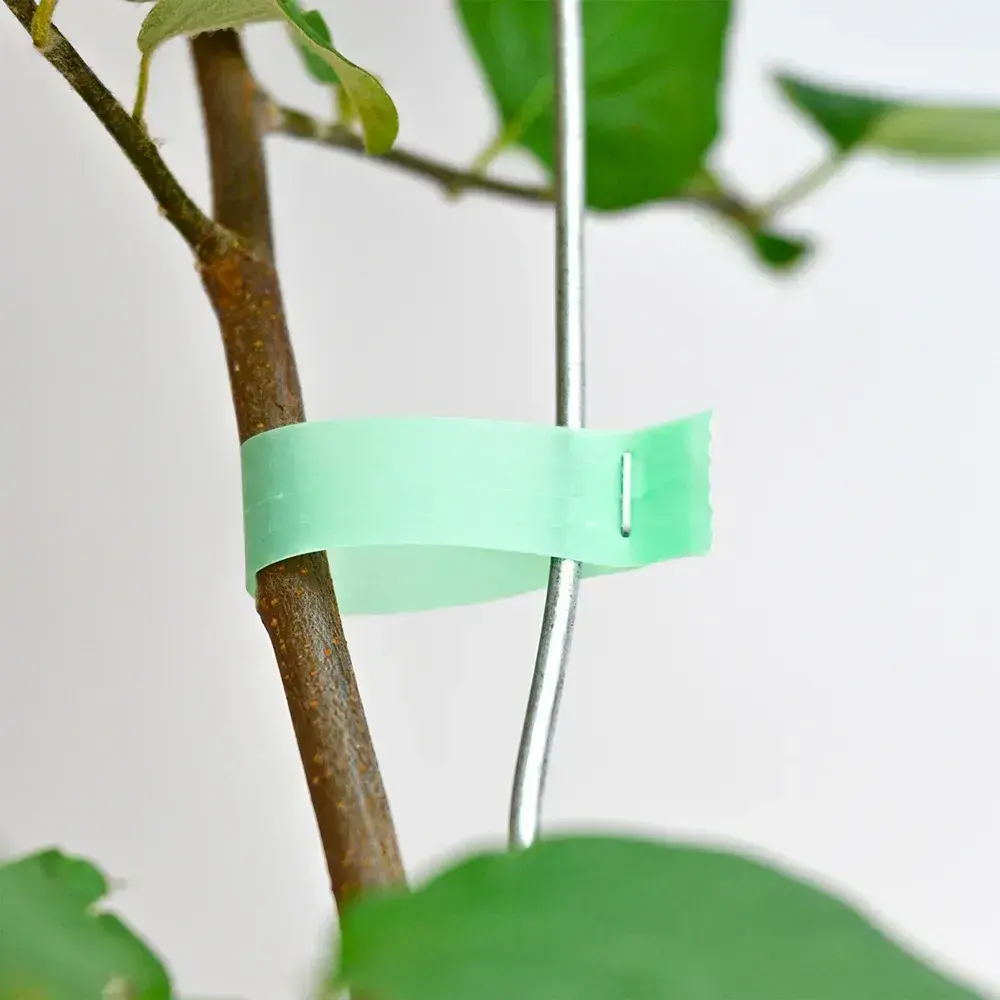 Скоби для садового підв'язувального степлера 10000 шт, 6х4 мм, 604С / Упаковка скоб для тапенера - Зображення 5