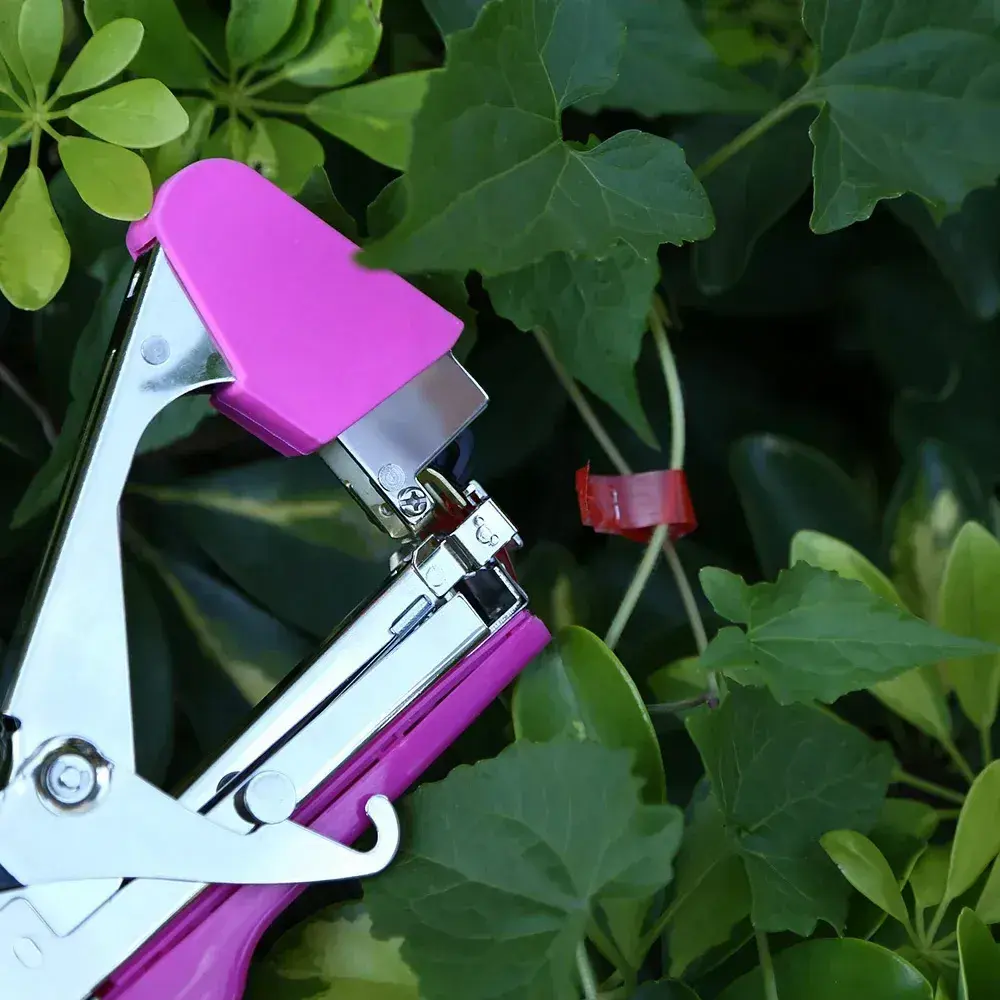 Скоби для садового підв'язувального степлера 10000 шт, 6х4 мм, 604С / Упаковка скоб для тапенера - Зображення 4