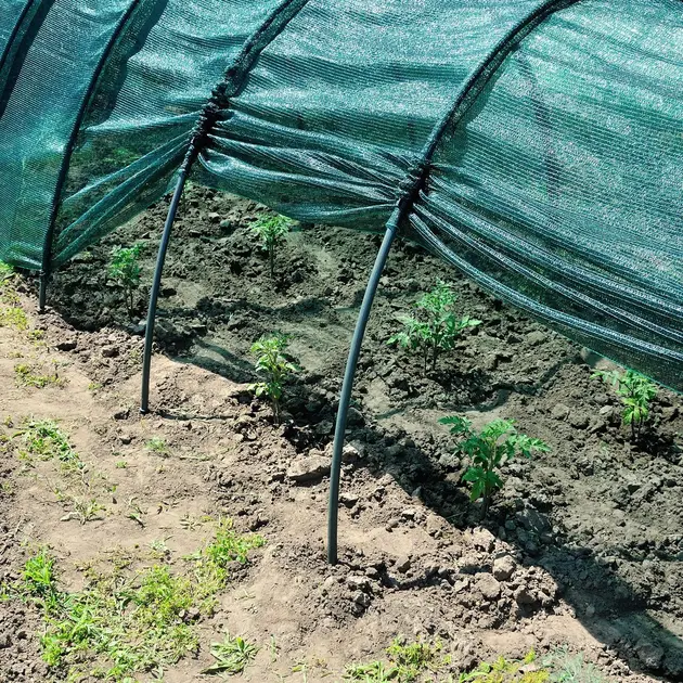 Сонцезахисна сітка для теплиці 3 метри Shadow 100 х 80, затінення 85% - Зображення 3