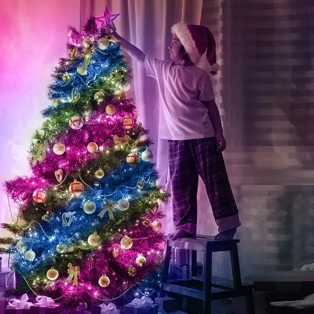 Світлодіодна розумна гірлянда Smart Роса RGB 100 LED з Bluetooth для ялинки від USB 10м - Зображення 3