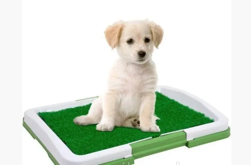 Туалет для собак Puppy Potty Pad MH-872 - Зображення 2