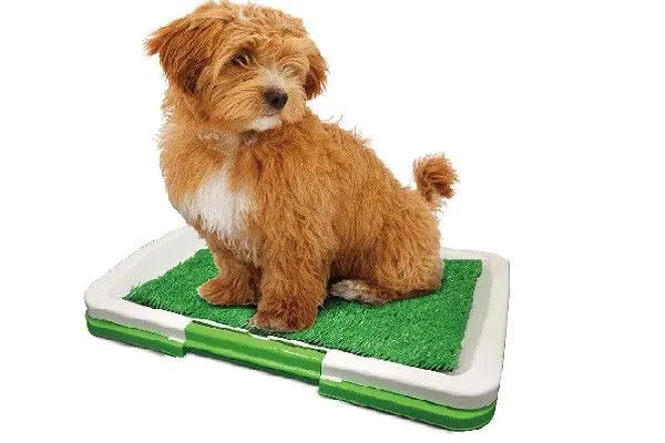 Туалет для собак Puppy Potty Pad MH-872 - Зображення 8