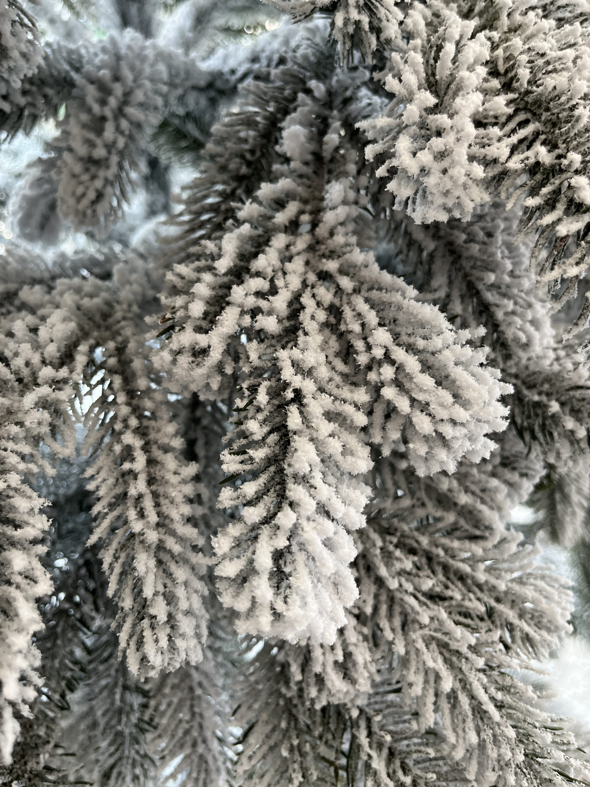 Ялинка лита "Еліт" засніжена - Зображення 5