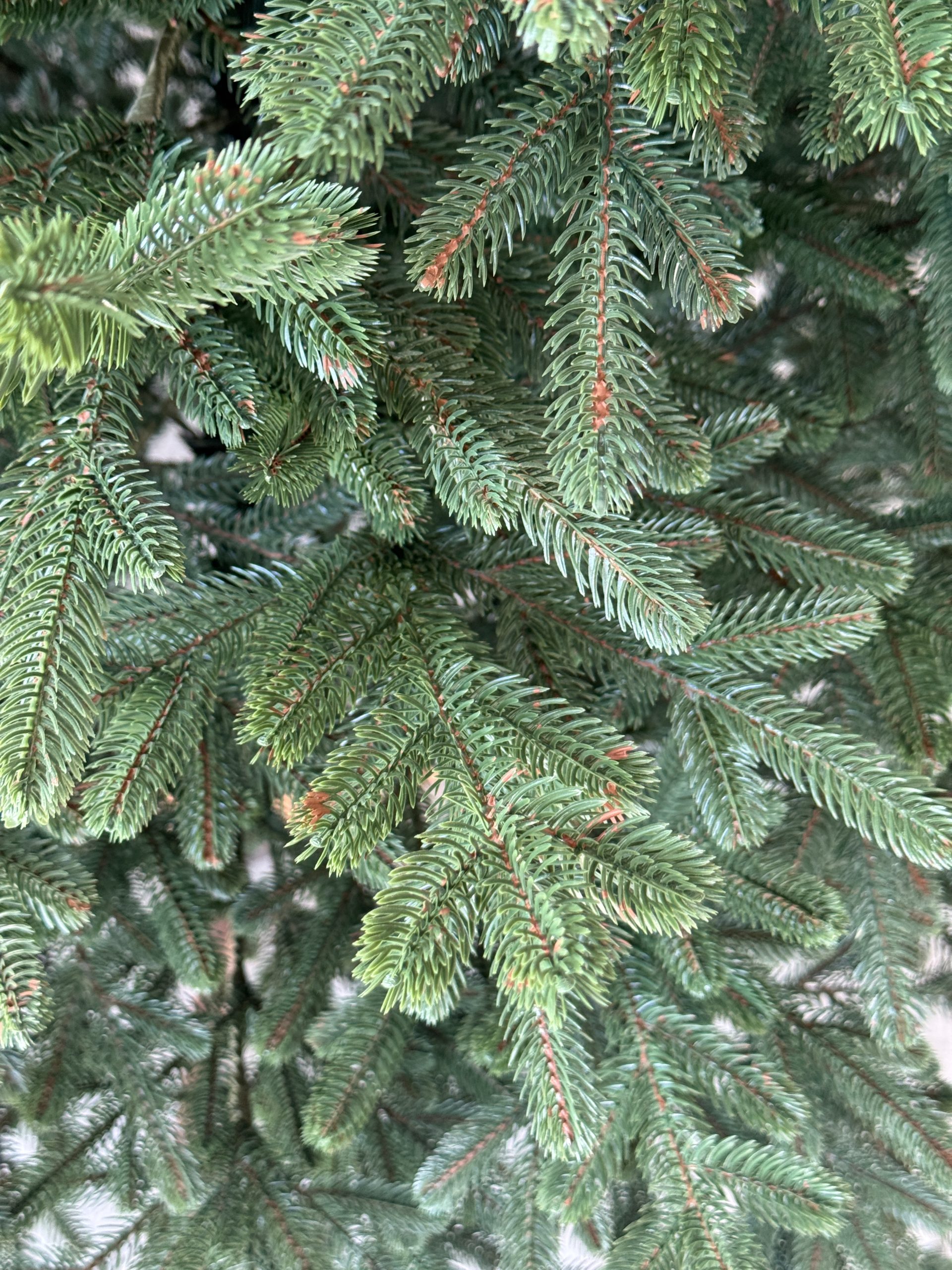 Ялинка штучна лита "Альпійська" зелена - Зображення 7