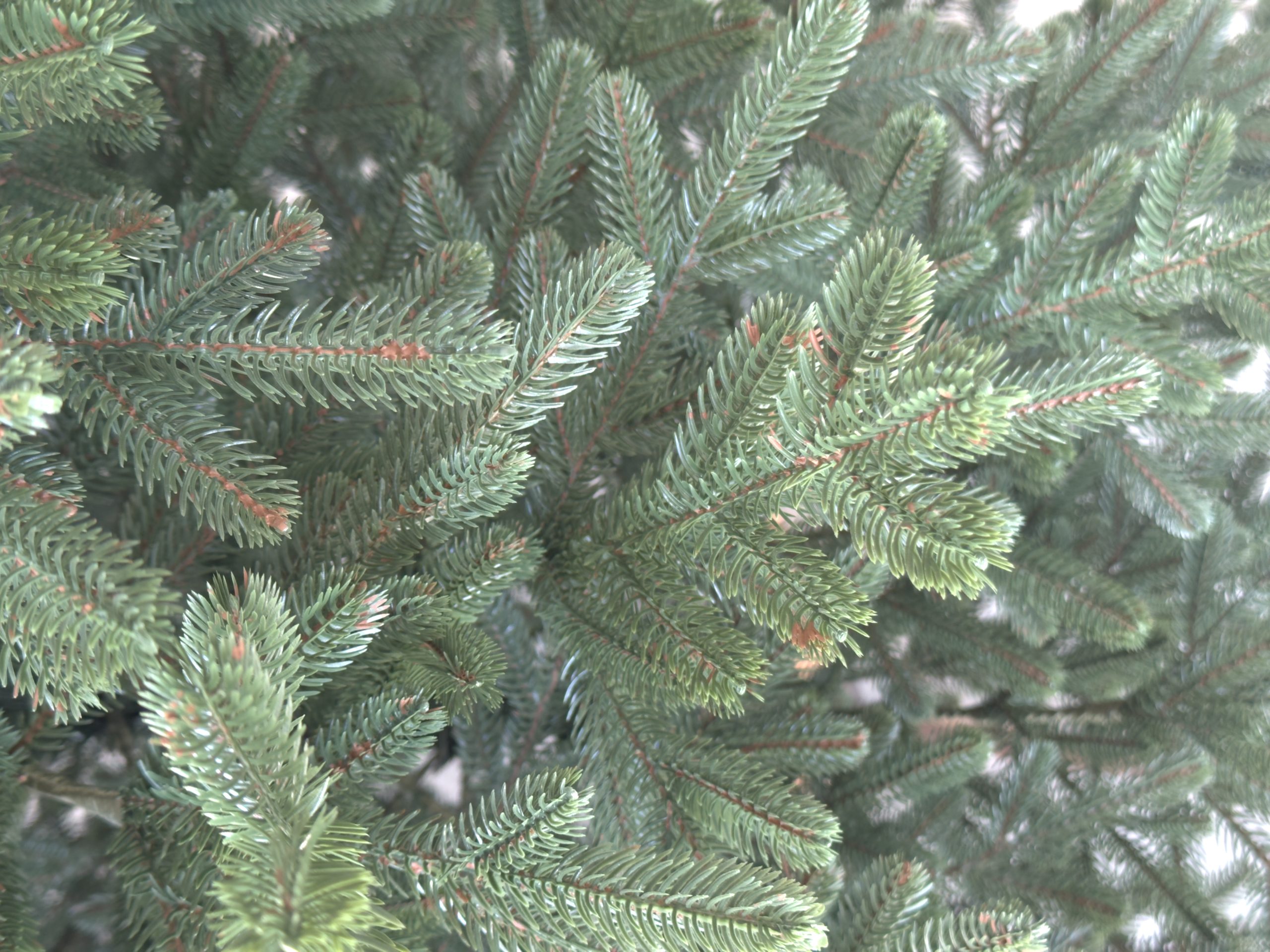 Ялинка штучна лита "Альпійська" зелена - Зображення 6