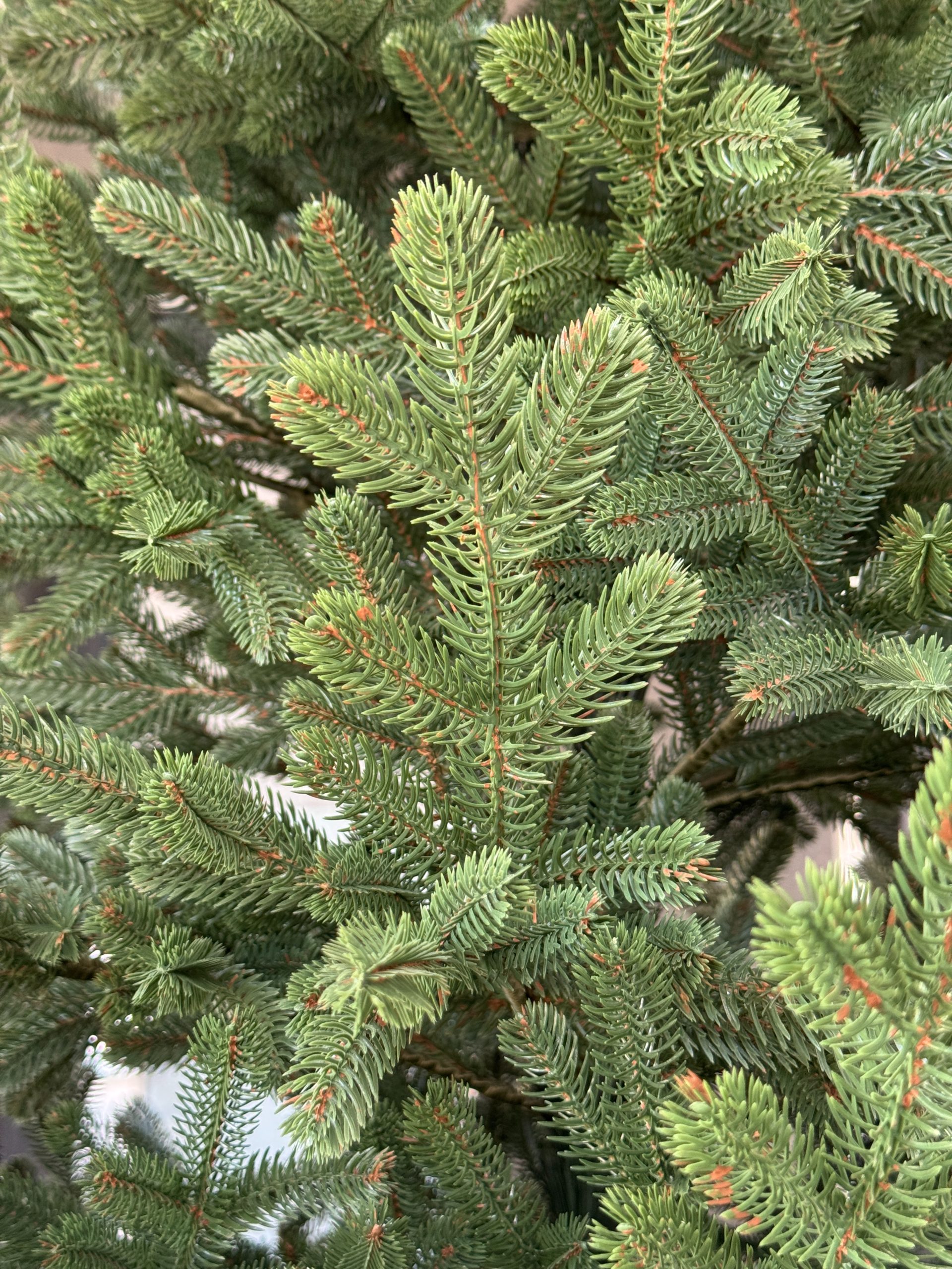 Ялинка штучна лита "Альпійська" зелена - Зображення 8